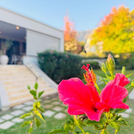 Residence Vive La Vie Franschhoek Dış mekan fotoğraf