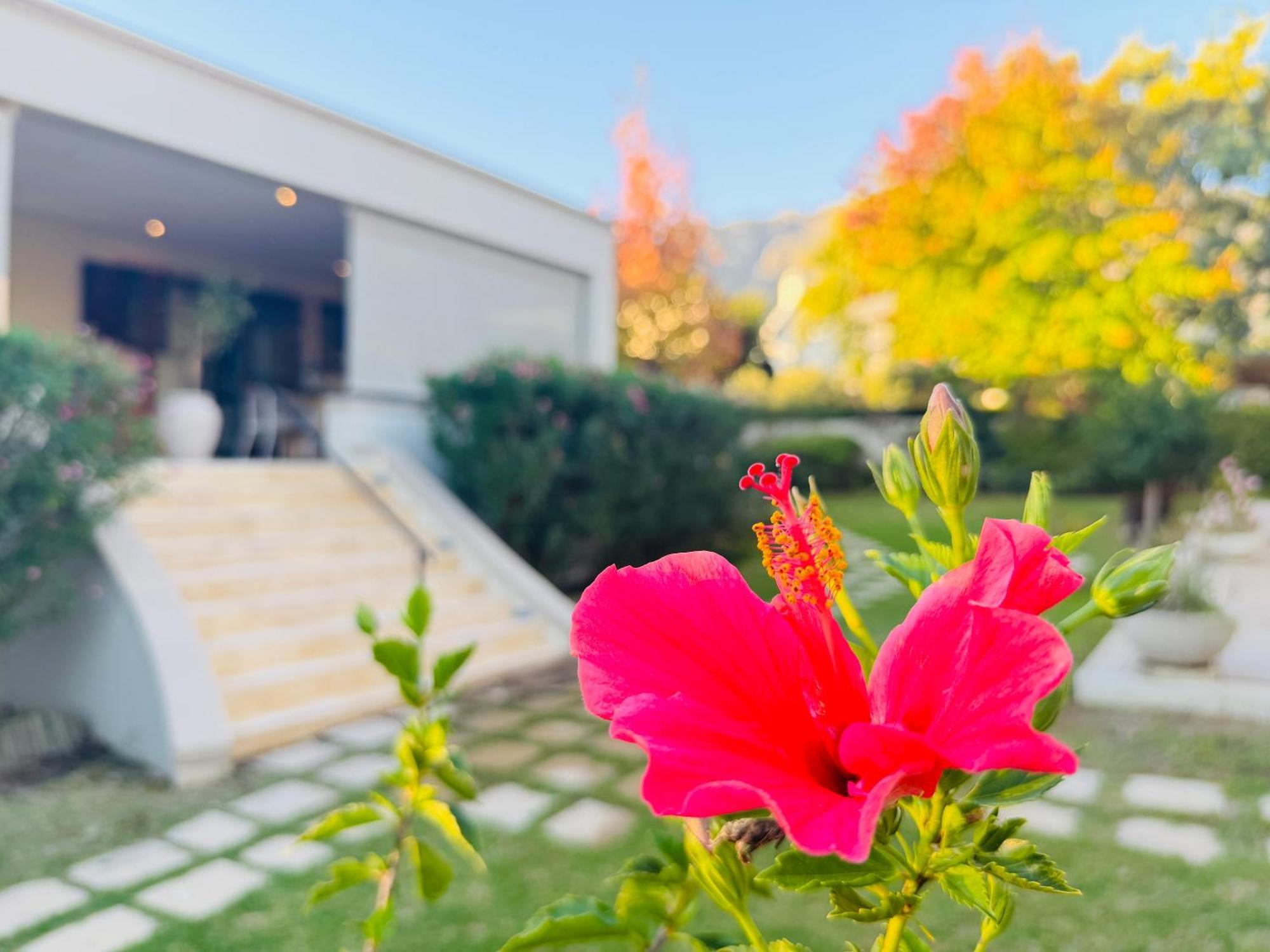 Residence Vive La Vie Franschhoek Dış mekan fotoğraf